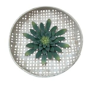 Hobby Lobby Woven Tobacco Basket Wall Hanging Metal Succulent Decor 18" Round